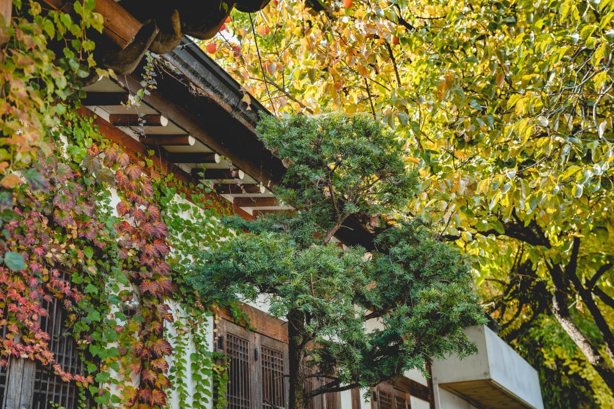Hotelarrive Jeonju Sihwayeonpung エクステリア 写真